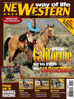Newestern #25