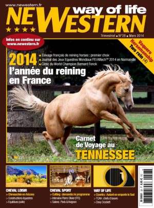 Newestern #28
