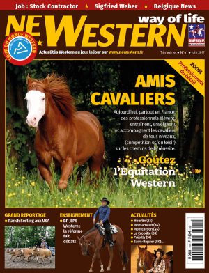 Newestern #41