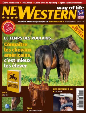 Newestern #44