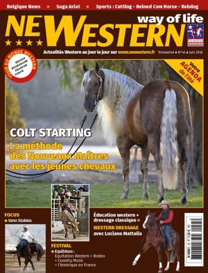 Newestern #45