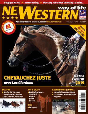 Newestern #48